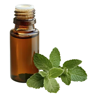 essential oils & aromatic extracts